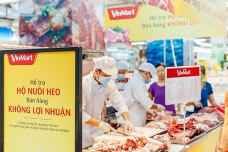 Các siêu thị đồng loạt giảm giá hỗ trợ người chăn nuôi, người tiêu dùng không lợi nhuận
