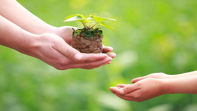 Hạnh phúc là cái gì con cảm nhận được khi con đã chia sẻ thật nhiệt tình, với tất cả lòng trong sáng từ bi.