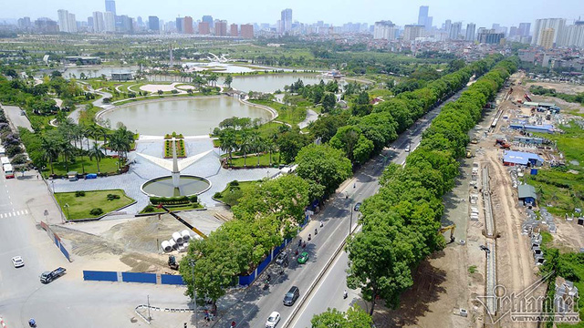 Hàng cổ thụ 30 năm tuổi trước ngày chặt hạ để làm đường - Ảnh 1. Hàng cổ thụ 30 năm tuổi trước ngày chặt hạ để làm đường - Ảnh 1.