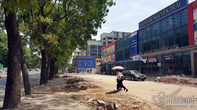 Hàng cổ thụ 30 năm tuổi trước ngày chặt hạ để làm đường - Ảnh 13. Hàng cổ thụ 30 năm tuổi trước ngày chặt hạ để làm đường - Ảnh 13.