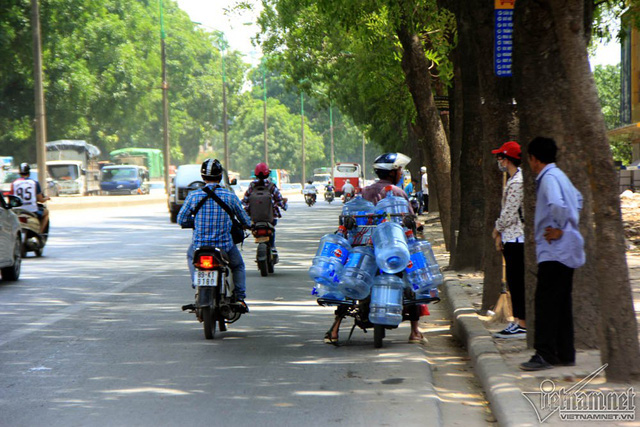 Hàng cổ thụ 30 năm tuổi trước ngày chặt hạ để làm đường - Ảnh 7. Hàng cổ thụ 30 năm tuổi trước ngày chặt hạ để làm đường - Ảnh 7.
