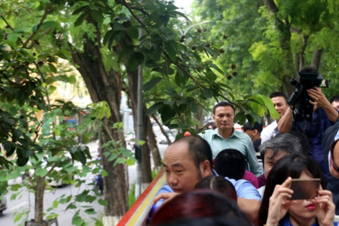 Trong ngày đầu thử nghiệm, xe đi một vòng quanh Hồ Gươm. Ở một số đoạn, do xe cao nên cành cây nằm ngang tầm mặt của du khách. (Ảnh: Vnexpress)