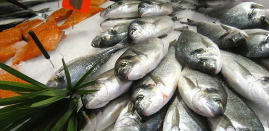 Top 7 kinh nghiệm mở vựa hải sản thành công mà bạn nên áp dụng Chọn hải sản tươi ngon