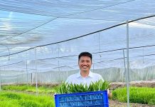 Làng Ta Farm – Thương hiệu rau sạch hướng đến sức khoẻ cộng đồng BENZ & BILL