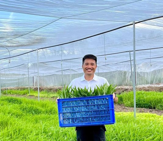 Làng Ta Farm – Thương hiệu rau sạch hướng đến sức khoẻ cộng đồng BENZ & BILL