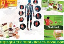 Dược phẩm Ánh Dương – Thảo dược thiên nhiên cho sức khỏe bền vững Dược phẩm Ánh Dương "Chăm sóc tận tâm - Chữa lành tự nhiên"