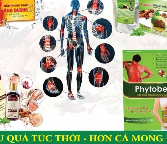 Dược phẩm Ánh Dương – Thảo dược thiên nhiên cho sức khỏe bền vững Dược phẩm Ánh Dương "Chăm sóc tận tâm - Chữa lành tự nhiên"