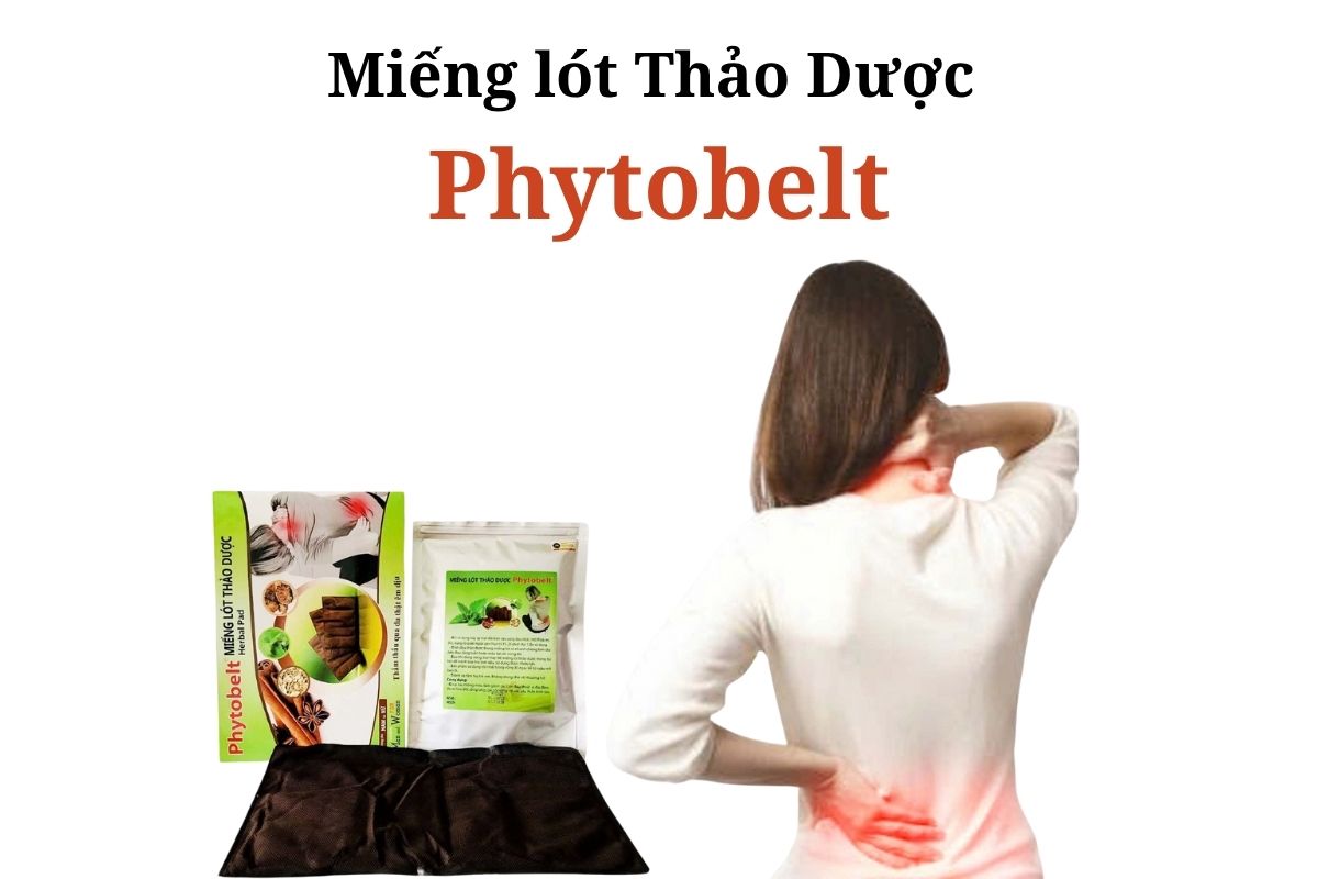Miếng lót Thảo Dược Phytobelt